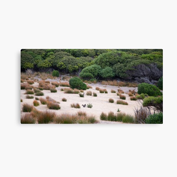 Item preview, Wallaby habitat designed and sold by Alexander Meysztowicz-Howen.