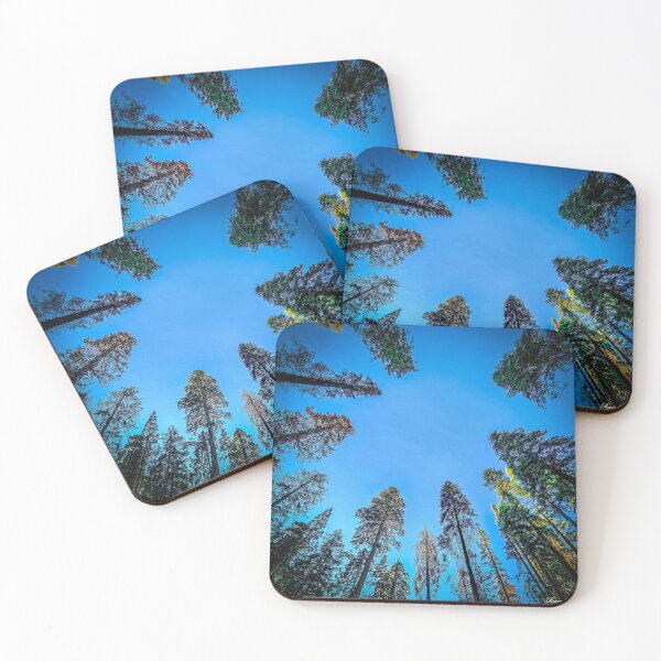 Item preview, Surrounded by Sequoias designed and sold by QuantumQid.