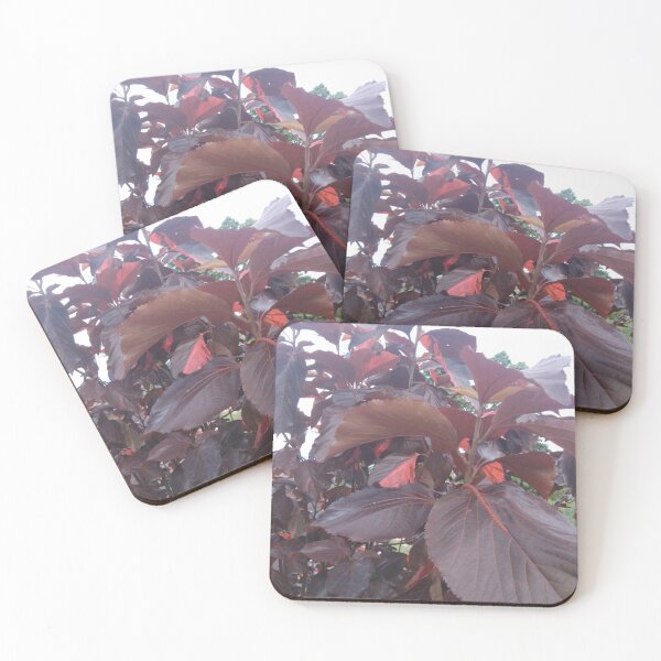 Item preview, Beautiful flowers  designed and sold by Tiannalaw.