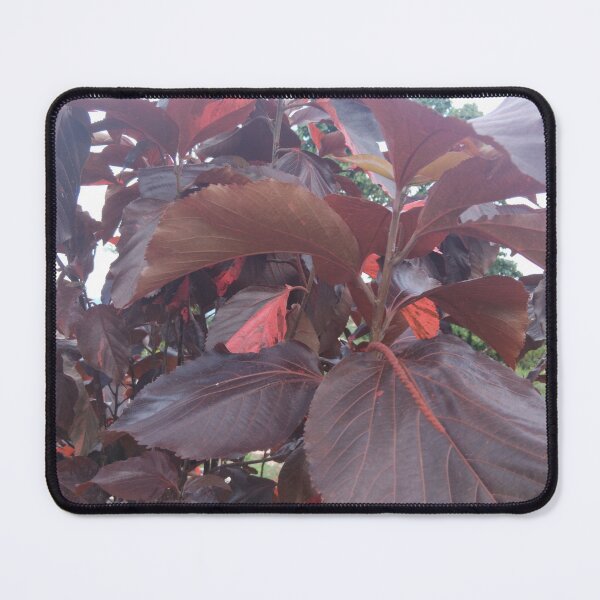 Item preview, Beautiful flowers  designed and sold by Tiannalaw.