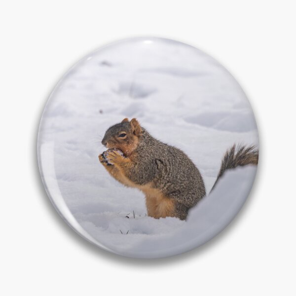 Item preview, Squirrel Christmas Series 1 designed and sold by Split2ndPhotos.