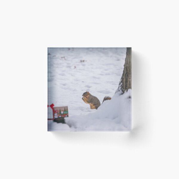 Item preview, Squirrel Christmas Series 1 designed and sold by Split2ndPhotos.