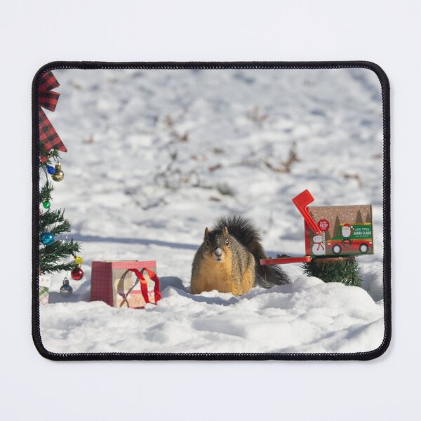Item preview, Squirrel Christmas Series 5 designed and sold by Split2ndPhotos.