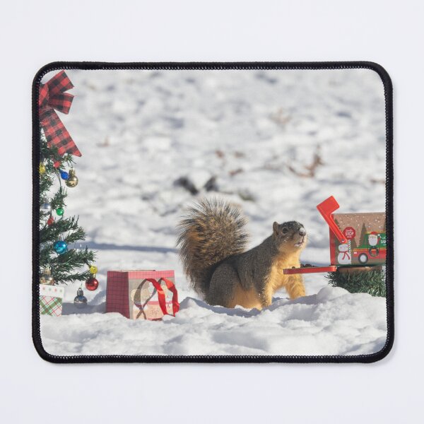 Item preview, Squirrel Christmas Series 8 designed and sold by Split2ndPhotos.