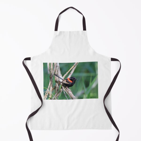 Item preview, Red-backed Fairywren perched on a branch designed and sold by BirdsAlive.