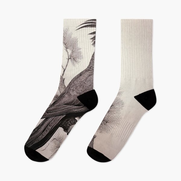 Item preview, Red-tailed Black Cockatoo designed and sold by andreisky.