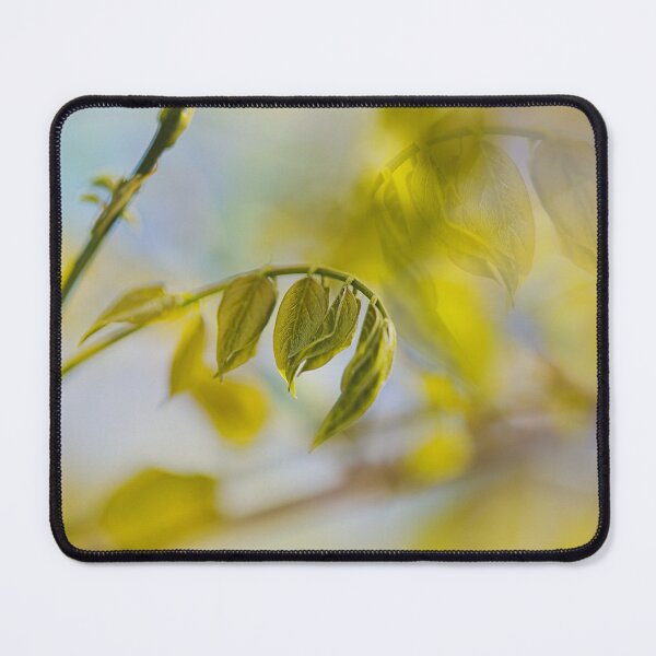 Item preview, Leaf Circles Life designed and sold by Joy Watson - Natural Light Photography .