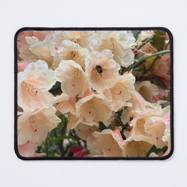 Item preview, Scotland Azaleas designed and sold by frankiesmonster.