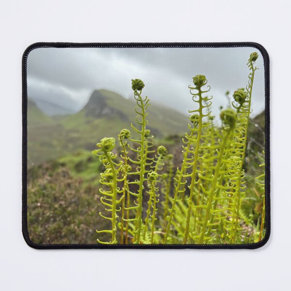 Item preview, Mountain Ferns designed and sold by frankiesmonster.