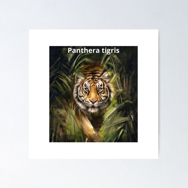 The spirit of the tigris panther Poster