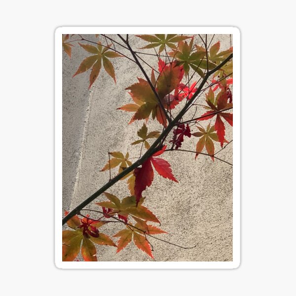 Item preview, Colorful leaves designed and sold by agnessa38.