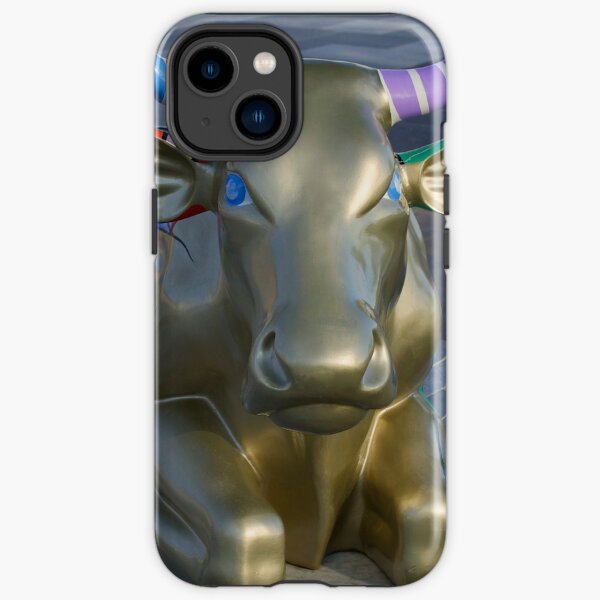 Let's Mooooooove Ahead Together, Ebrington, Derry iPhone Tough Case