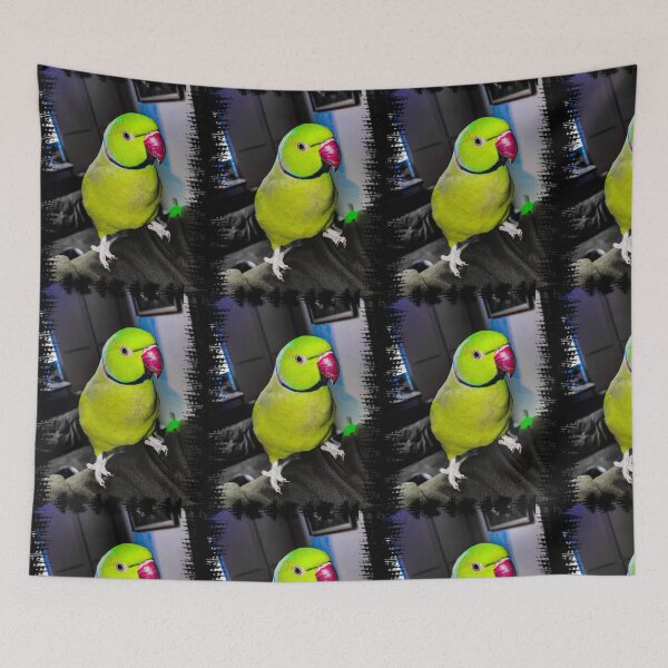 Item preview, Kiwi designed and sold by xXNoClue22Xx.