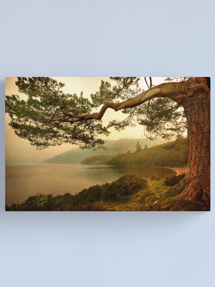 Alternate view of The Branch (Textured) Canvas Print
