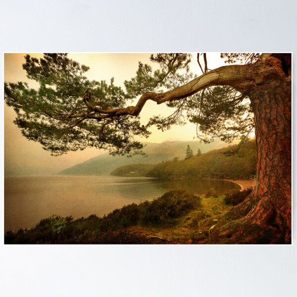 The Branch (Textured) Poster