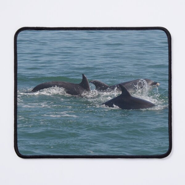Item preview, Three Dolphins designed and sold by lezvee.