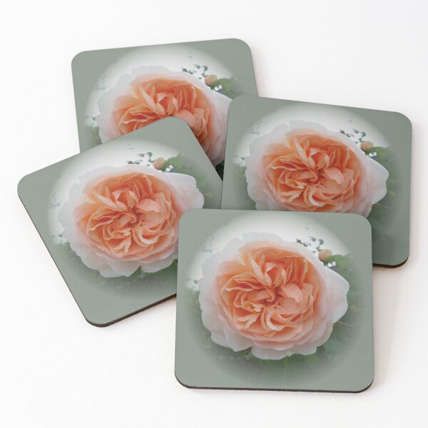 Item preview, Apricot Rose with Soft Green-Gray Vignette designed and sold by KeksWorkroom.