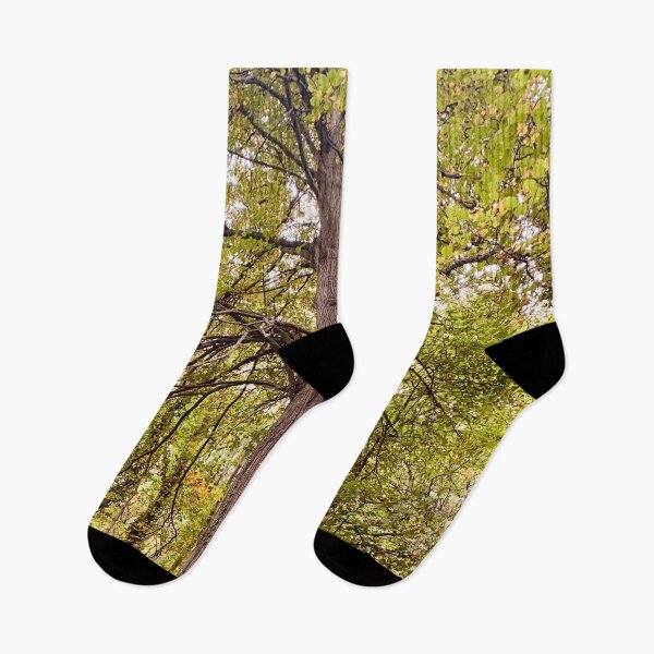 Item preview, Majestic Tree Branches and Warm Green Foliage designed and sold by Quoppidou.