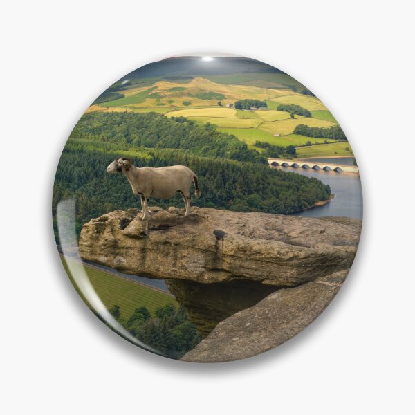 Item preview, Bamford Edge Sheep designed and sold by Alisonchambers2.