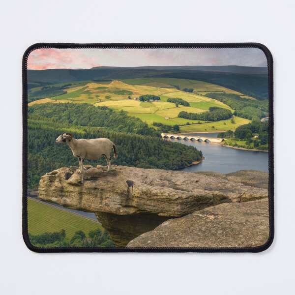 Item preview, Bamford Edge Sheep designed and sold by Alisonchambers2.