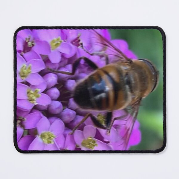 Item preview, Bee on a Flower designed and sold by Quoppidou.