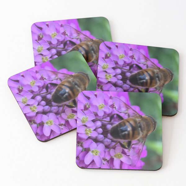 Item preview, Bee on a Flower designed and sold by Quoppidou.