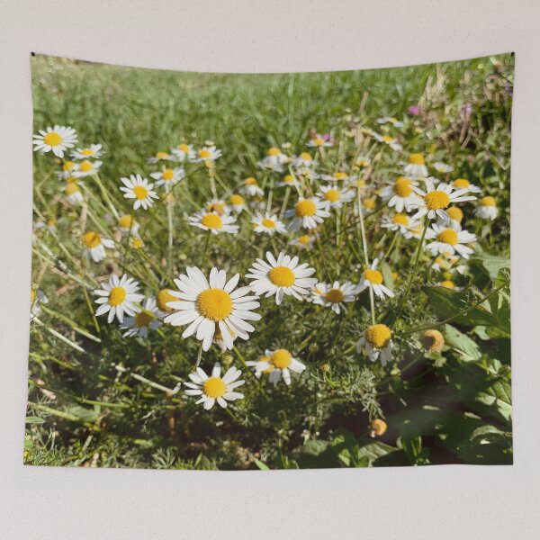 Item preview, Wild Camomile Flowers designed and sold by Quoppidou.