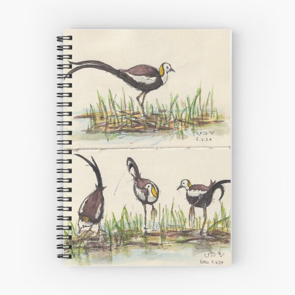 Item preview, Pheasant tailed Jacana birds designed and sold by BirdsAndBrush.