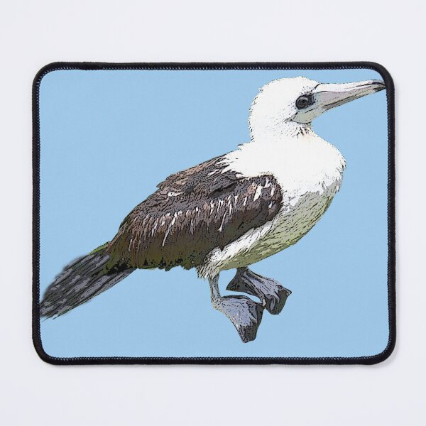Item preview, Abbott's Booby Color Design designed and sold by designsasstultd.