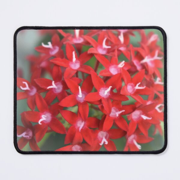 Item preview, Red and White designed and sold by bertsworks300.