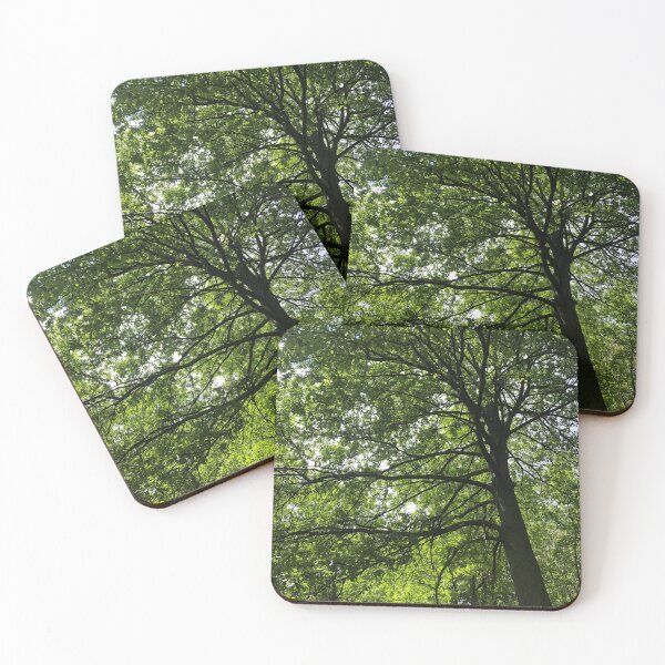 Item preview, Green Oak Tree from Below designed and sold by Quoppidou.