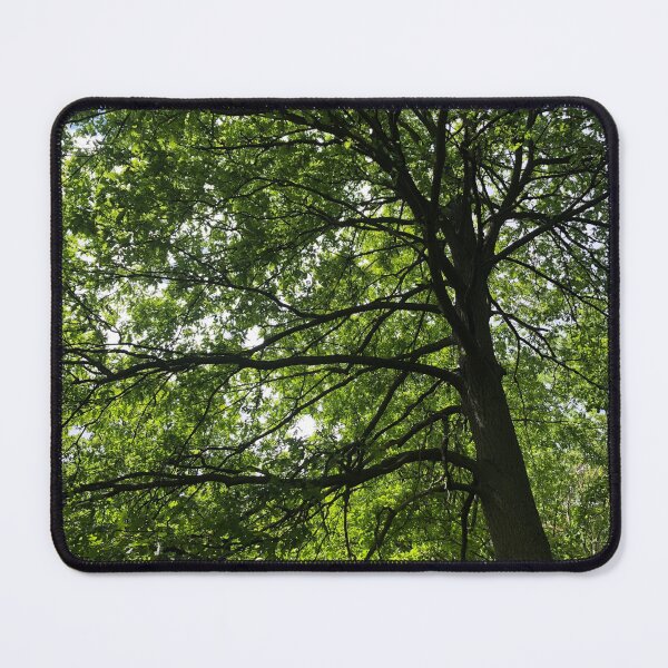 Item preview, Green Oak Tree from Below designed and sold by Quoppidou.