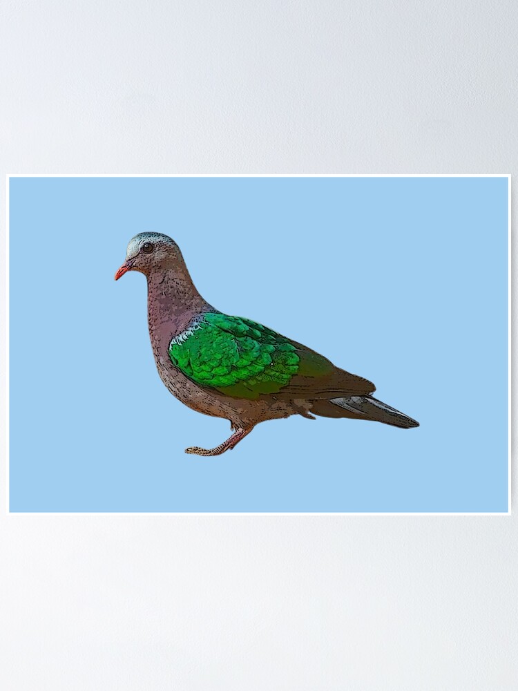 Asian Emerald Dove Color Design Poster for Sale by