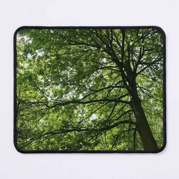 Item preview, Green Old Oak Tree designed and sold by Quoppidou.