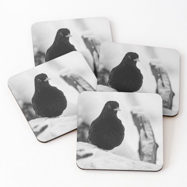 Item preview, Eurasian blackbird and snowy forest bw designed and sold by Jouko Lehto Photography.