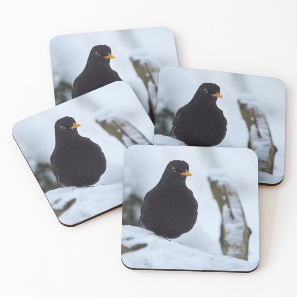 Item preview, Eurasian blackbird and snowy forest designed and sold by Jouko Lehto Photography.