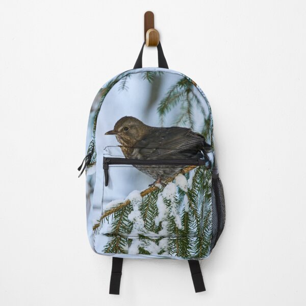 Item preview, Eurasian blackbird spruce and snow designed and sold by Jouko Lehto Photography.