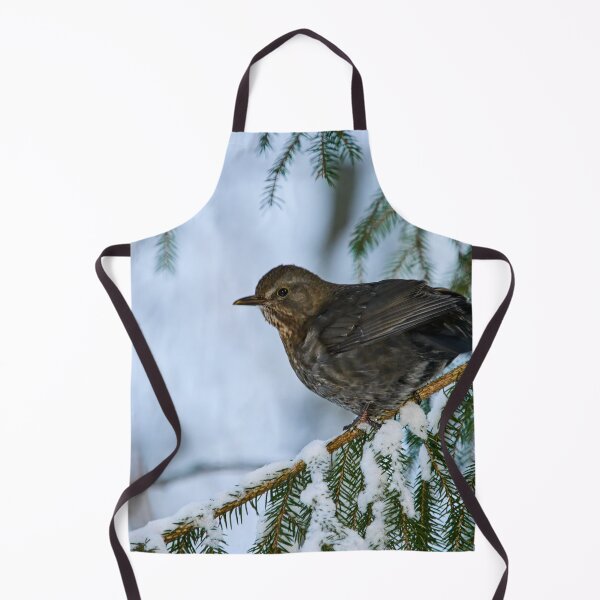 Item preview, Eurasian blackbird spruce and snow designed and sold by Jouko Lehto Photography.