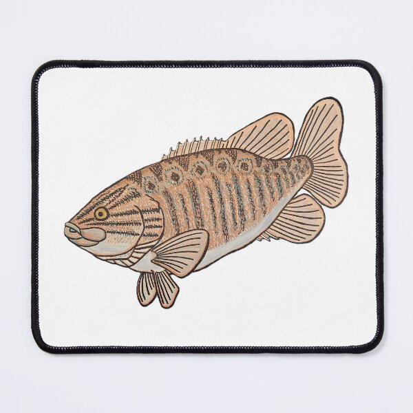 Item preview, Smallmouth Bass designed and sold by TheNatureNerd.