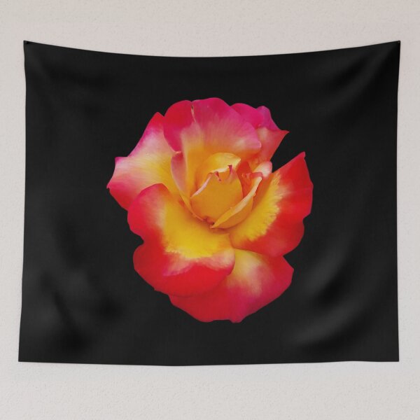 Item preview, Rose Flower . Nature Photography . #2 designed and sold by Artistic63.