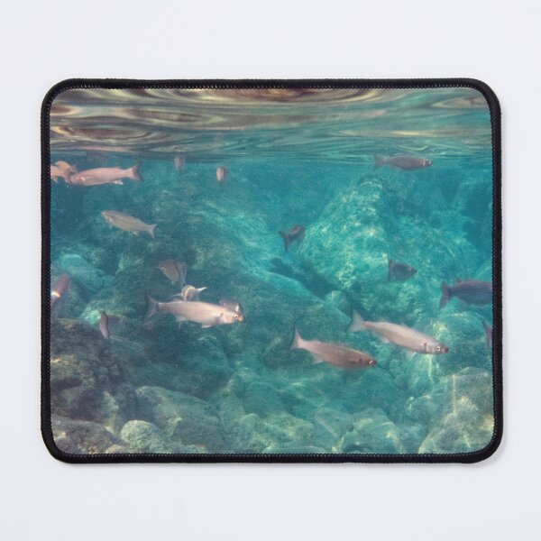 Item preview, Swimming with the Fish designed and sold by Kasia Design.