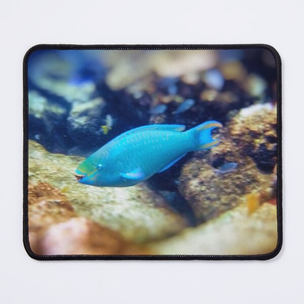 Item preview, Spotlight On! designed and sold by Kasia Design.