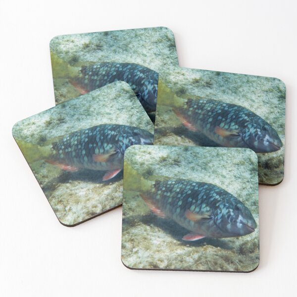 Item preview, This Smile Gets Them Every Time:-) designed and sold by Kasia Design.