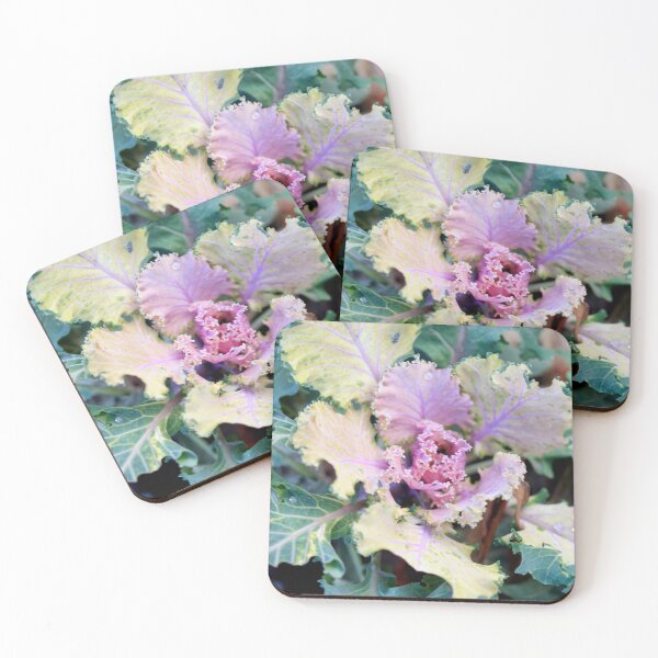 Item preview, Colorful winter plant in the garden designed and sold by olena2552.