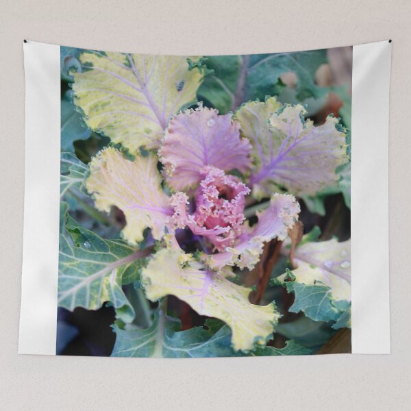 Item preview, Colorful winter plant in the garden designed and sold by olena2552.