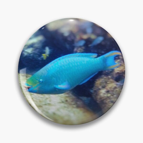 Item preview, Spotlight On! designed and sold by Kasia Design.