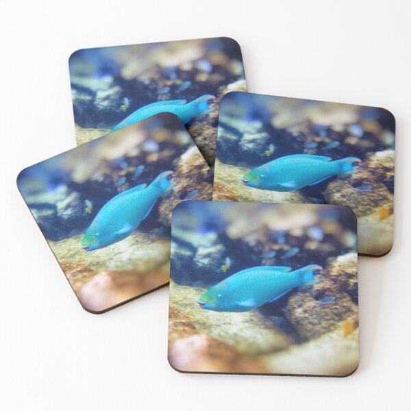 Item preview, Spotlight On! designed and sold by Kasia Design.
