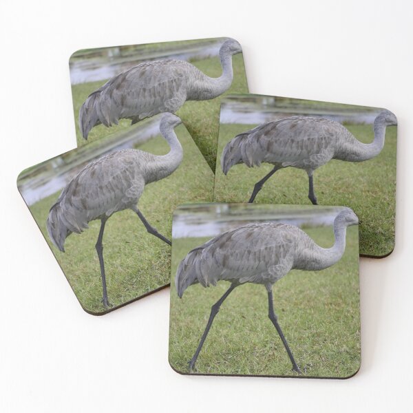 Item preview, Unedited Sandhill Crane At Orlando Wetlands Park designed and sold by MercerImages.