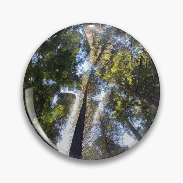 Item preview, Trees View Photo! designed and sold by S-J-.