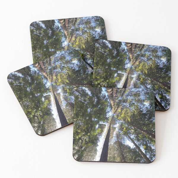 Item preview, Trees View Photo! designed and sold by S-J-.